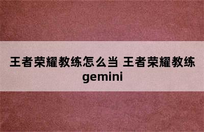 王者荣耀教练怎么当 王者荣耀教练gemini